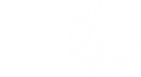 logo_stringArt_white